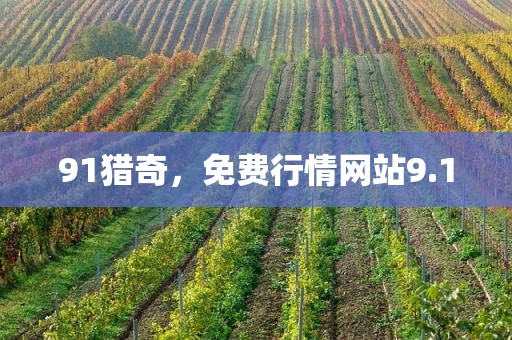 91猎奇，免费行情网站9.1