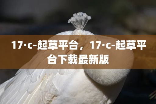 17·c-起草平台，17·c-起草平台下载最新版
