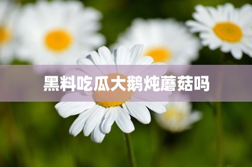 黑料吃瓜大鹅炖蘑菇吗