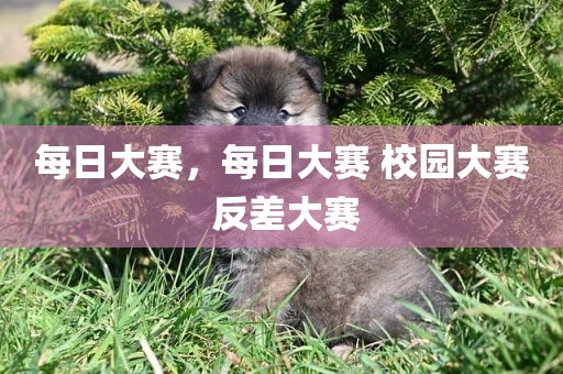 每日大赛，每日大赛 校园大赛 反差大赛