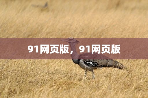 91网页版，91网页版