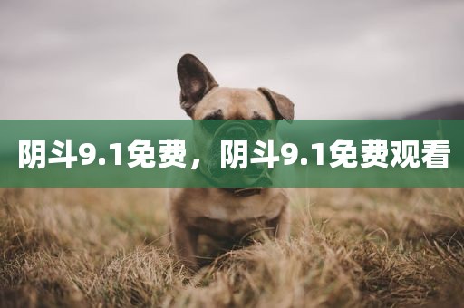 阴斗9.1免费，阴斗9.1免费观看
