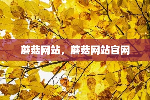 蘑菇网站，蘑菇网站官网