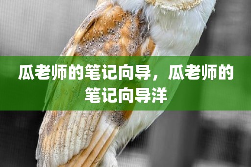 瓜老师的笔记向导，瓜老师的笔记向导洋
