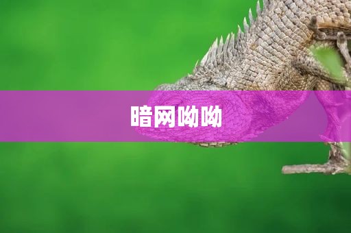 暗网呦呦