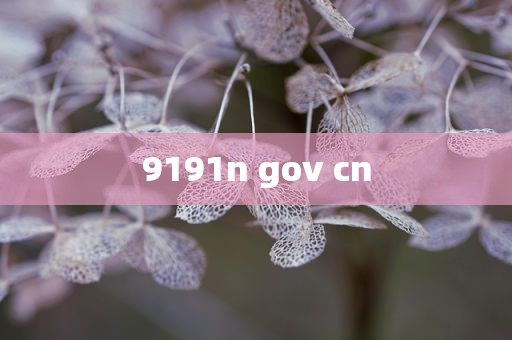 9191n gov cn