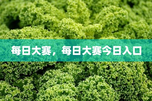 每日大赛，每日大赛今日入口