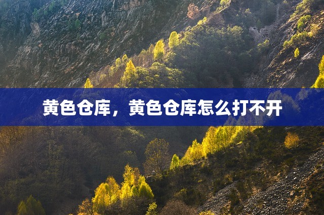 黄色仓库，黄色仓库怎么打不开