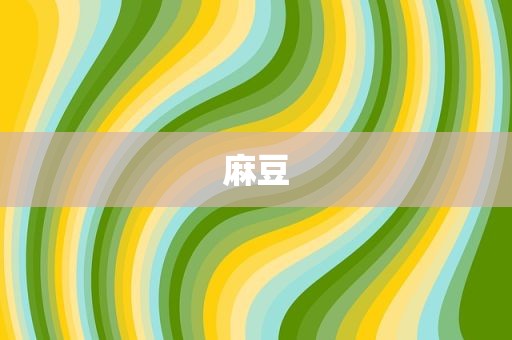 麻豆
