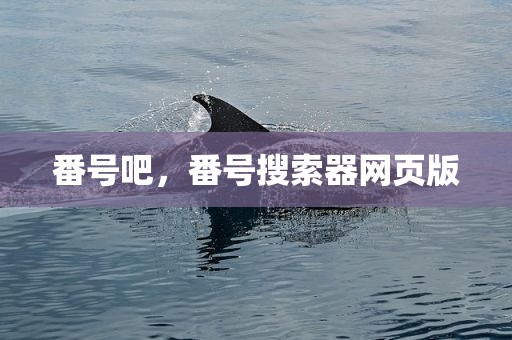番号吧，番号搜索器网页版