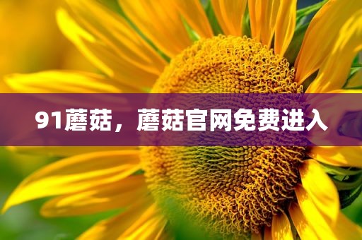 91蘑菇，蘑菇官网免费进入