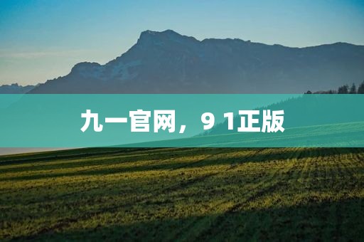 九一官网，9 1正版