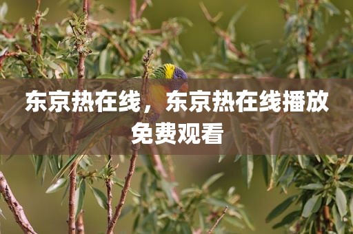 东京热在线，东京热在线播放免费观看