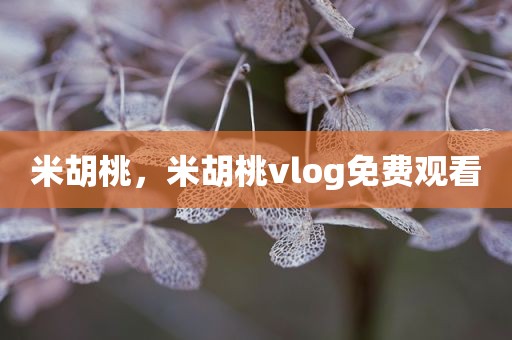 米胡桃，米胡桃vlog免费观看