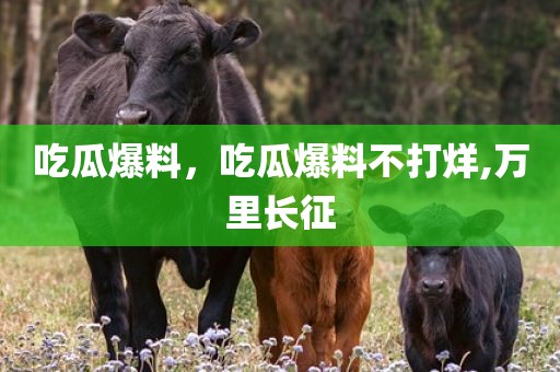 吃瓜爆料，吃瓜爆料不打烊,万里长征
