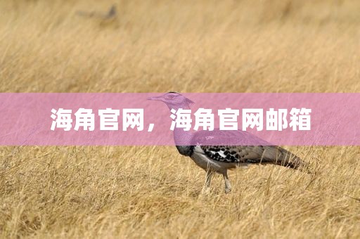 海角官网，海角官网邮箱
