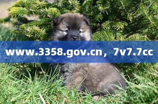 www.3358.gov.cn，7v7.7cc