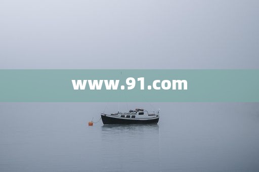 www.91.com