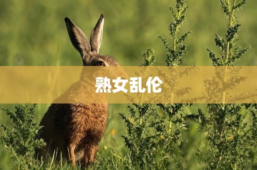 熟女乱伦