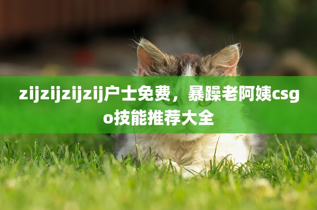zijzijzijzij户士免费，暴躁老阿姨csgo技能推荐大全
