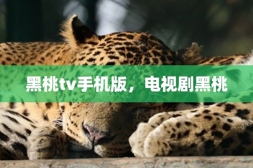 黑桃tv手机版，电视剧黑桃