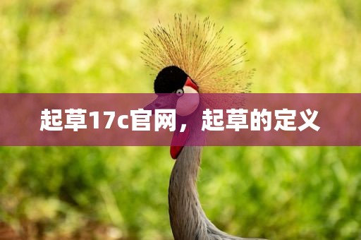 起草17c官网，起草的定义