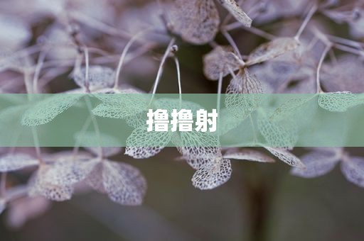 撸撸射