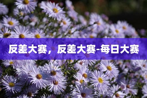 反差大赛，反差大赛-每日大赛
