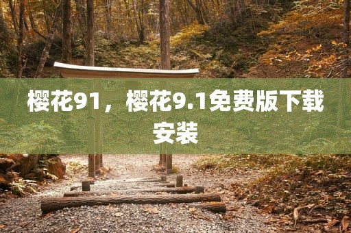 樱花91，樱花9.1免费版下载安装