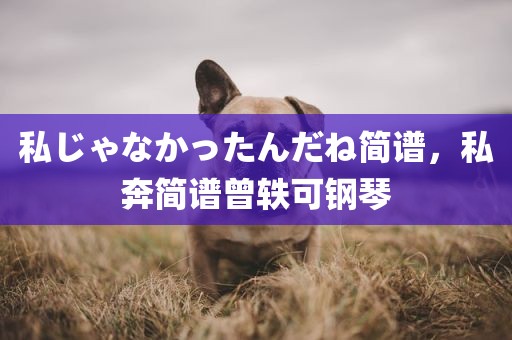 私じゃなかったんだね简谱，私奔简谱曾轶可钢琴