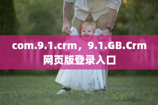 com.9.1.crm，9.1.GB.Crm网页版登录入口