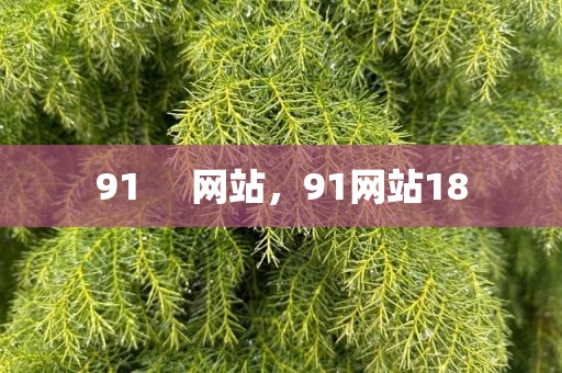 91     网站，91网站18