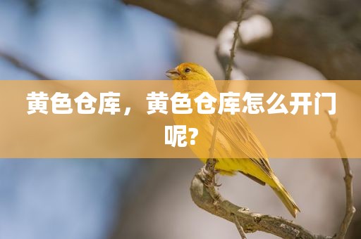 黄色仓库，黄色仓库怎么开门呢?