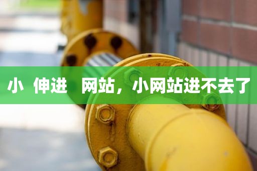 小  伸进   网站，小网站进不去了