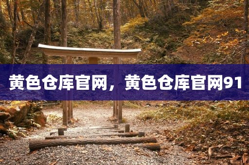 黄色仓库官网，黄色仓库官网91