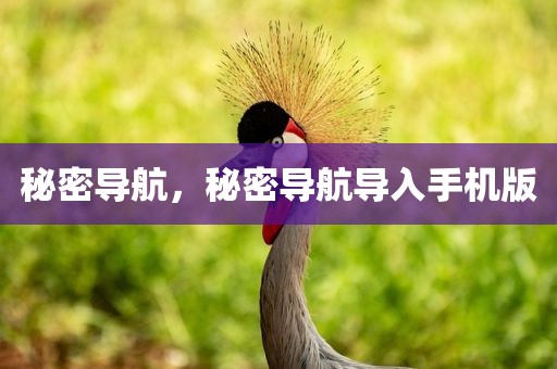秘密导航，秘密导航导入手机版