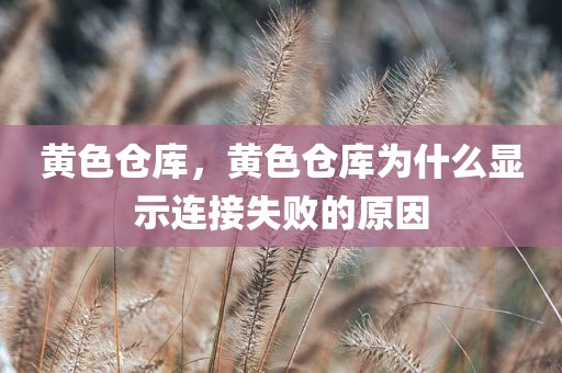 黄色仓库，黄色仓库为什么显示连接失败的原因