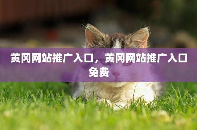 黄冈网站推广入口，黄冈网站推广入口免费
