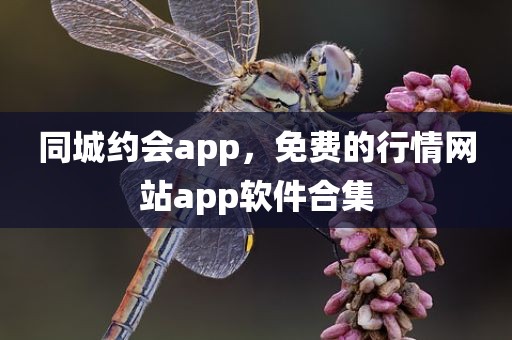 同城约会app，免费的行情网站app软件合集
