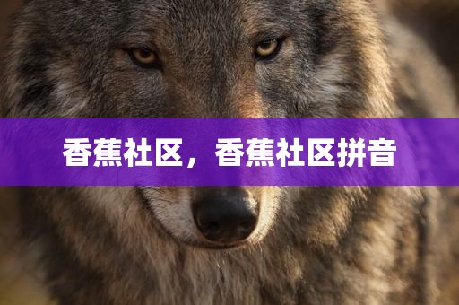 香蕉社区，香蕉社区拼音