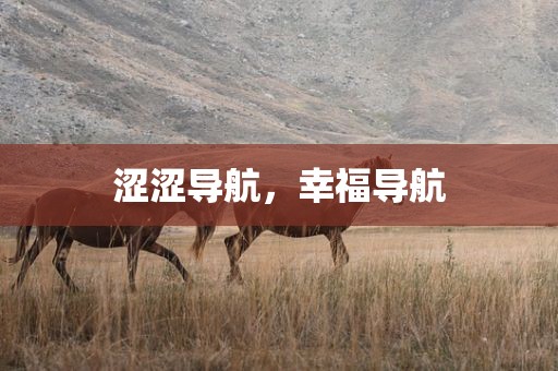 涩涩导航，幸福导航