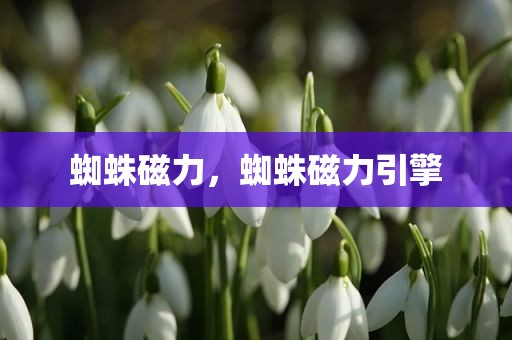 蜘蛛磁力，蜘蛛磁力引擎