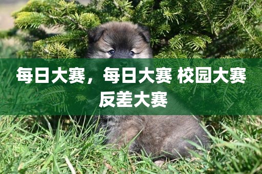 每日大赛，每日大赛 校园大赛 反差大赛