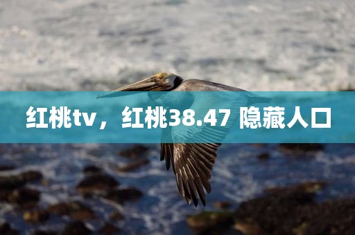 红桃tv，红桃38.47 隐藏人口