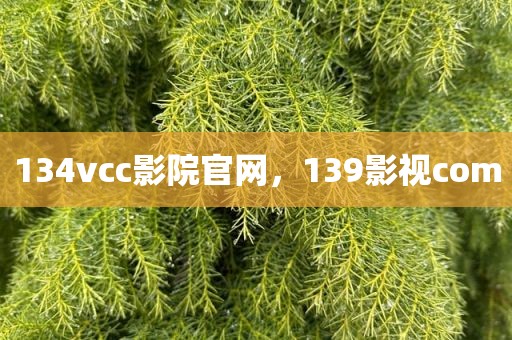 134vcc影院官网，139影视com
