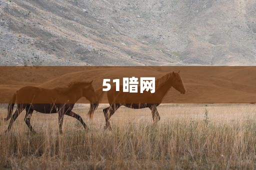 51暗网