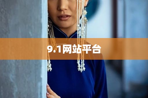 9.1网站平台