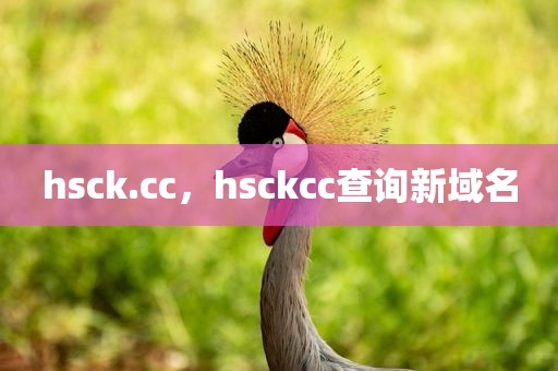 hsck.cc，hsckcc查询新域名