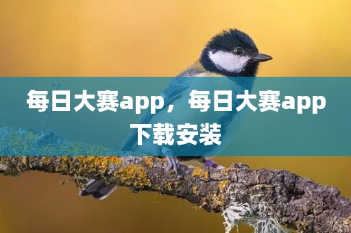 每日大赛app，每日大赛app下载安装