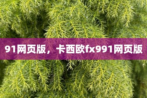 91网页版，卡西欧fx991网页版